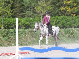 IMG_0541_web